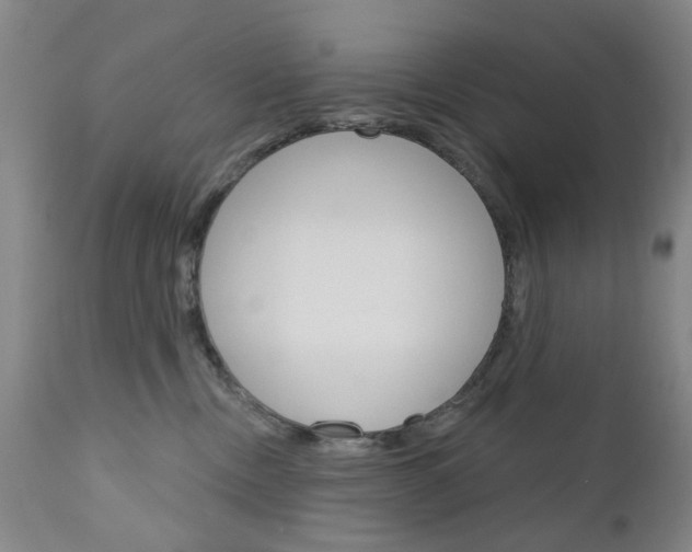 X0000111180378200907011038