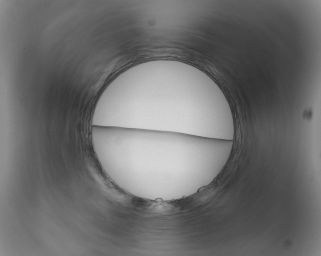 X0000111180379200907011038
