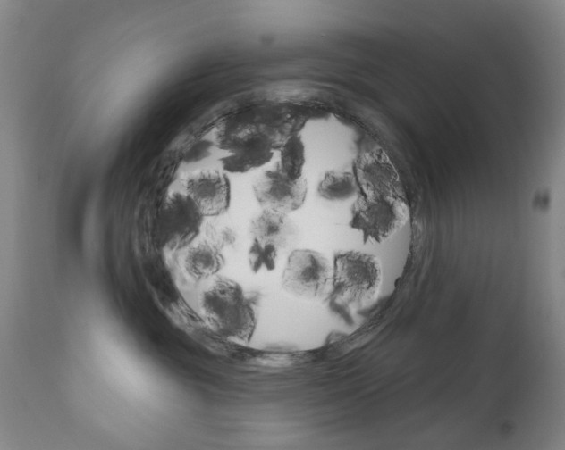 X0000111180381200907011038