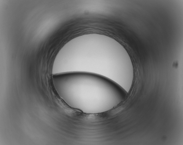 X0000111180382200907011038