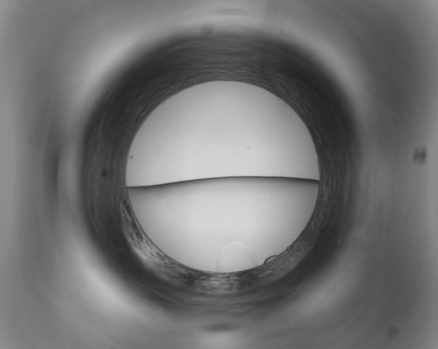 X0000111180383200907011038