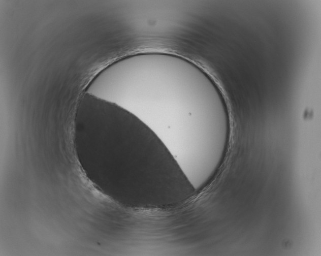 X0000111180385200907011037