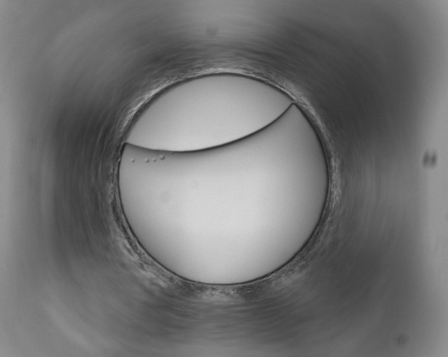 X0000111180386200907011037