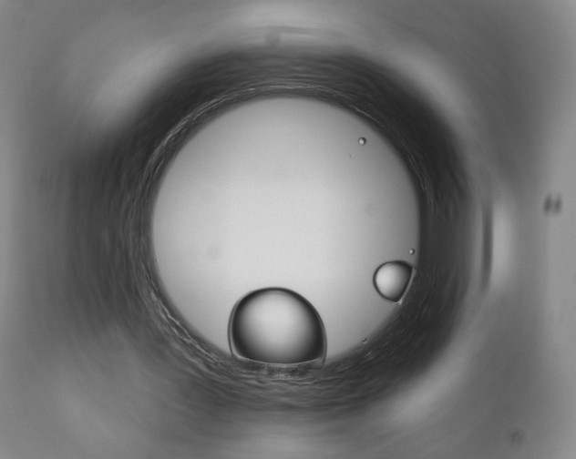 X0000111180387200907011037