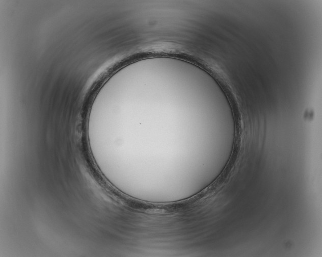 X0000111180392200907011037