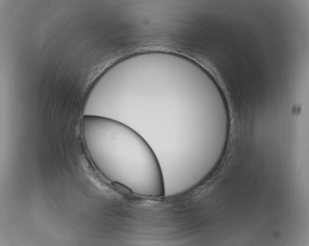 X0000111180393200907011037