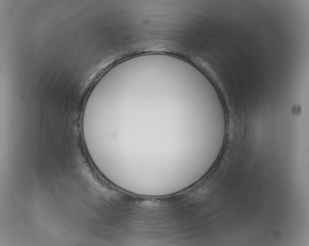 X0000111180394200907011037