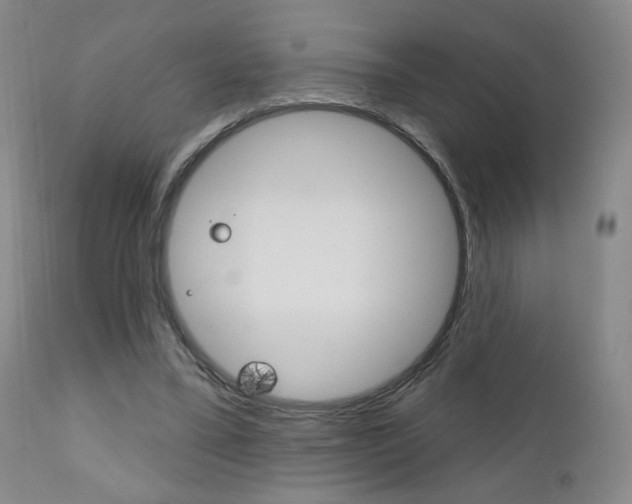 X0000111180395200907011037
