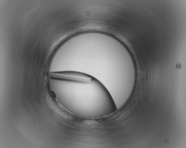 X0000111180399200907011037