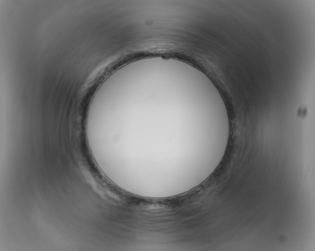 X0000111180400200907011037