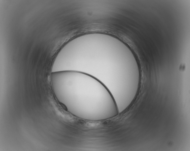 X0000111180401200907011037