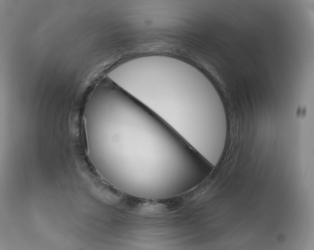 X0000111180403200907011037