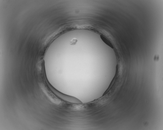 X0000111180405200907011037