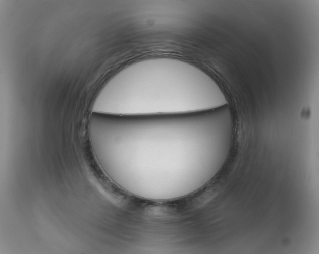 X0000111180408200907011036
