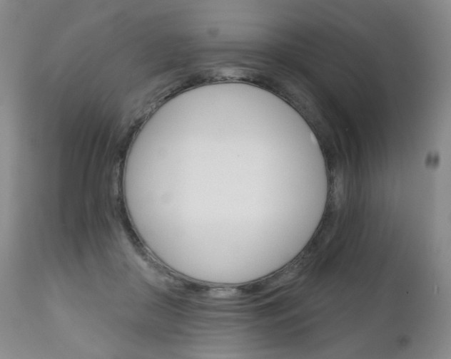 X0000111180410200907011036