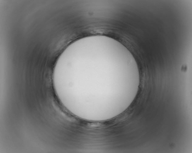 X0000111180414200907011036