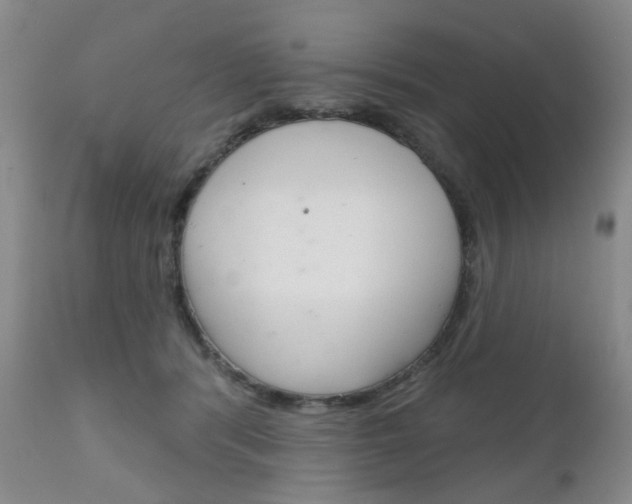 X0000111180416200907011036