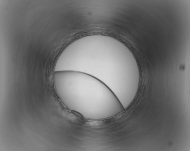 X0000111180417200907011036