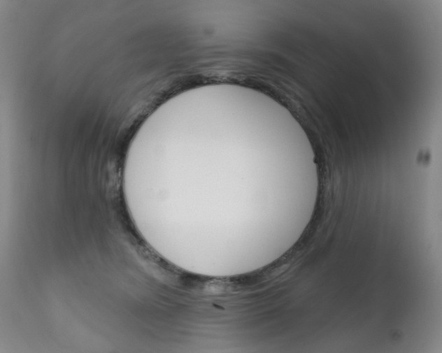 X0000111180420200907011036