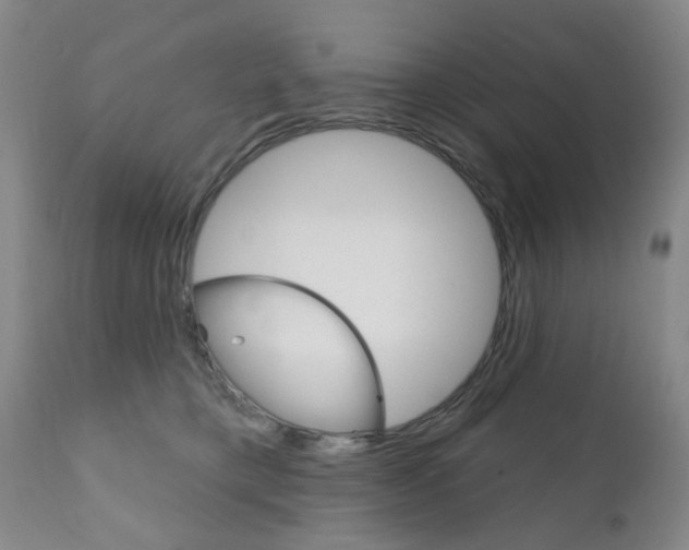 X0000111180421200907011036