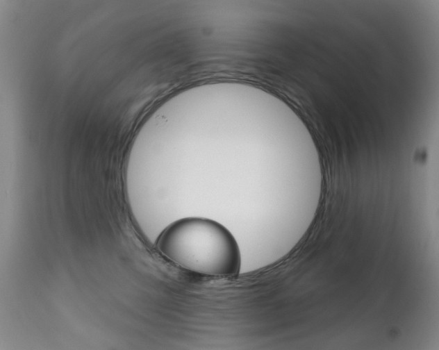 X0000111180423200907011036