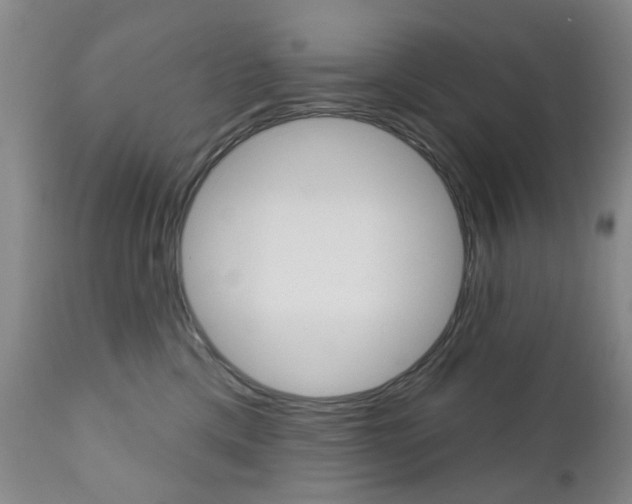 X0000111180425200907011036