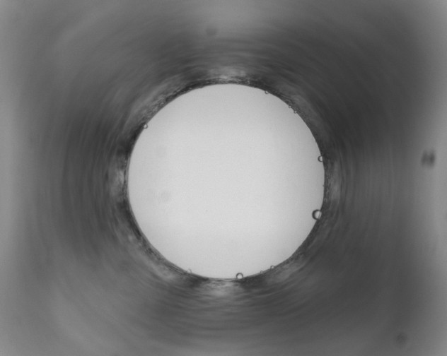 X0000111180427200907011036