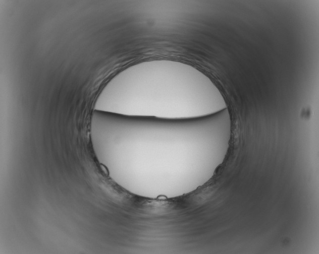 X0000111180428200907011036