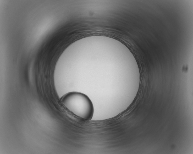 X0000111180429200907011036