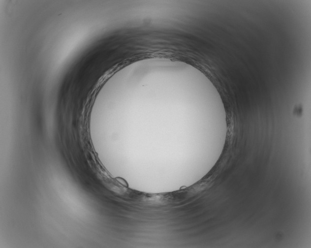 X0000111180430200907011036