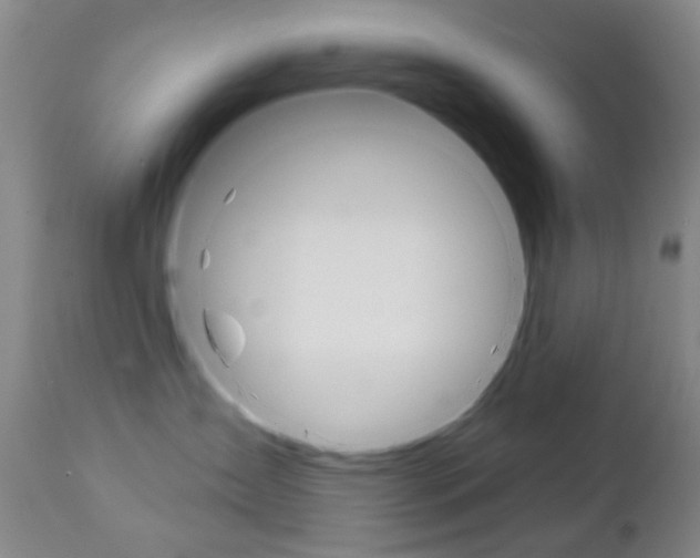 X0000111180431200907011036