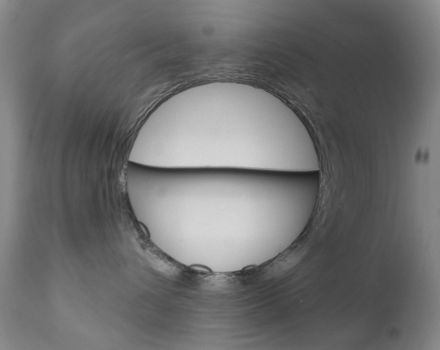 X0000111180432200907011036