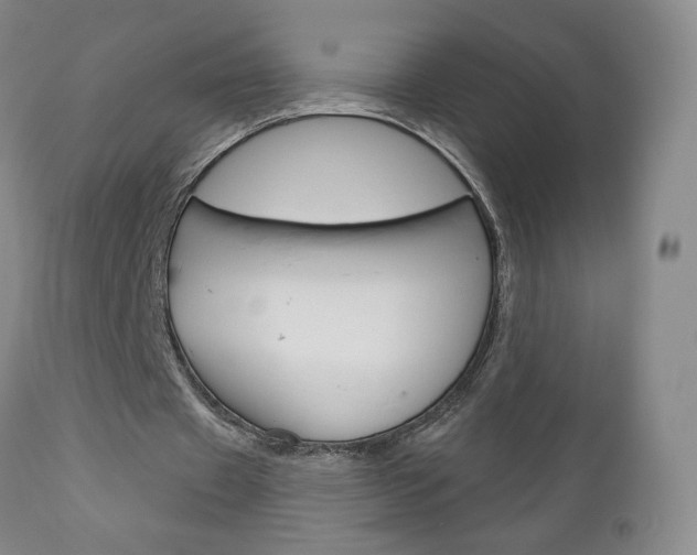X0000111180433200907011035