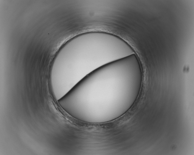 X0000111180434200907011036