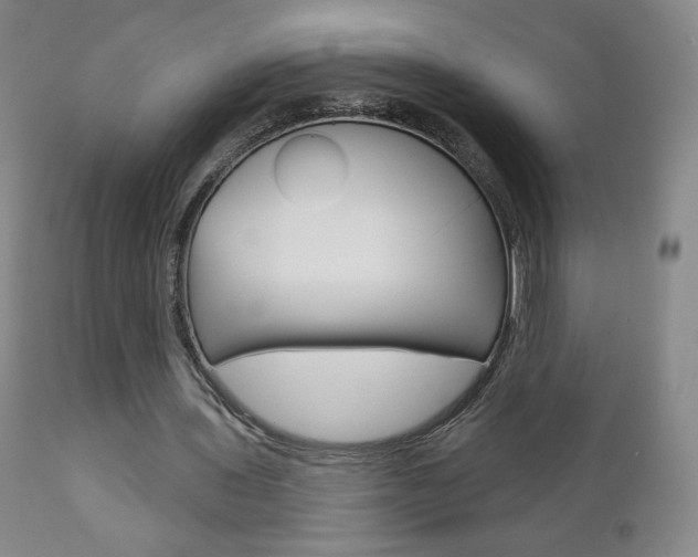 X0000111180435200907011036