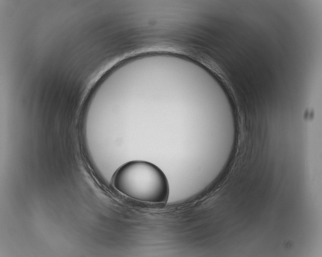X0000111180436200907011036