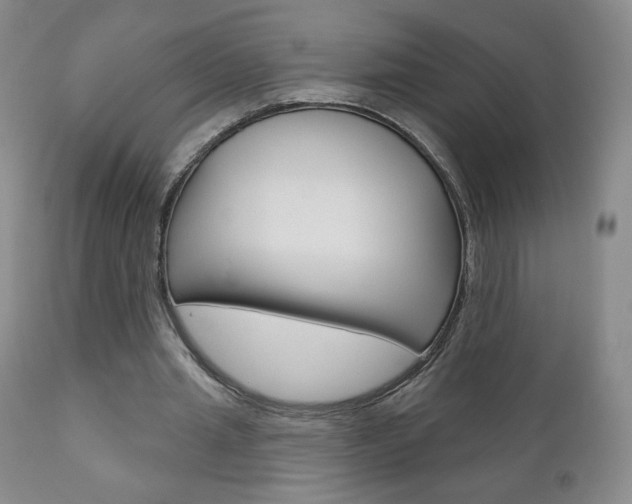 X0000111180437200907011036
