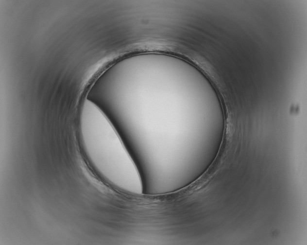 X0000111180438200907011036