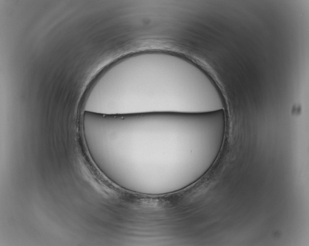 X0000111180439200907011036