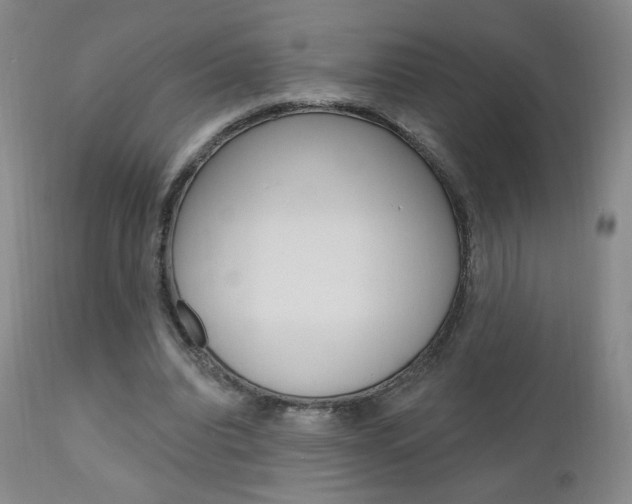 X0000111180440200907011036