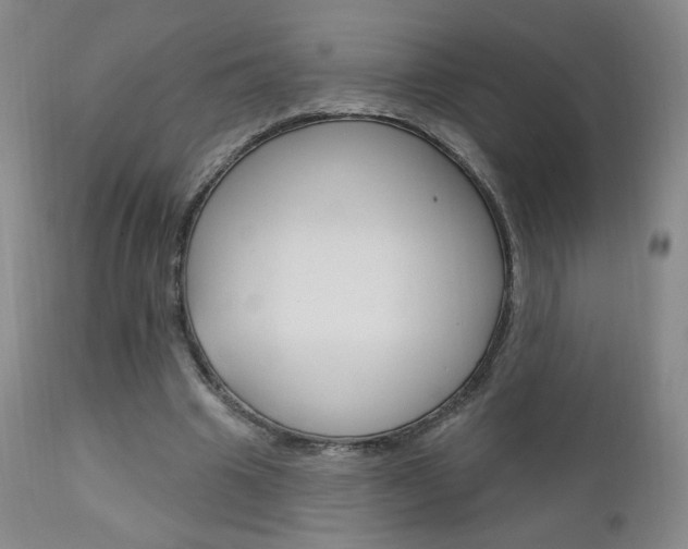 X0000111180441200907011036