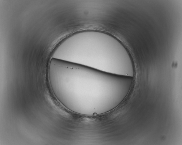 X0000111180442200907011036
