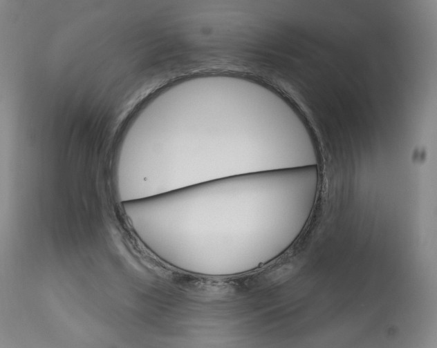 X0000111180443200907011036