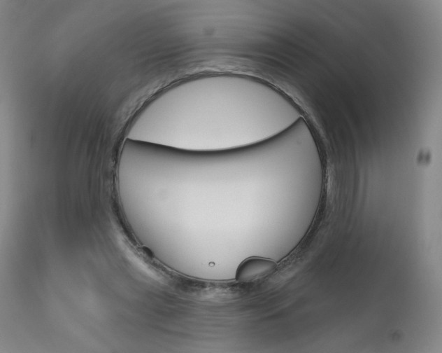 X0000111180445200907011036