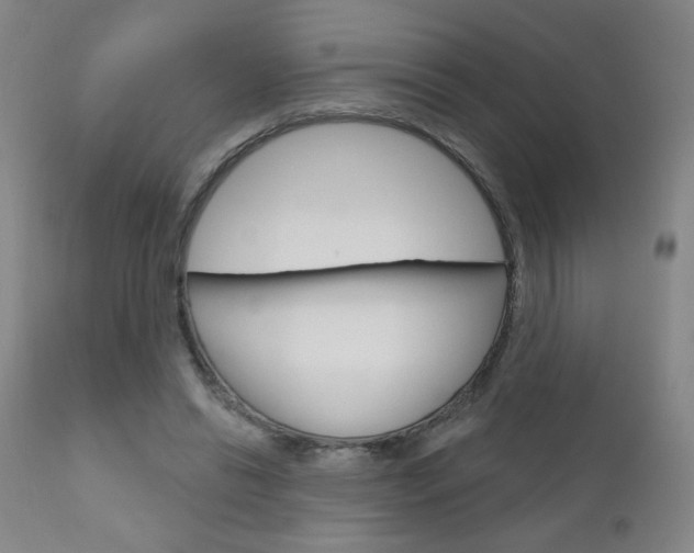 X0000111180446200907011036