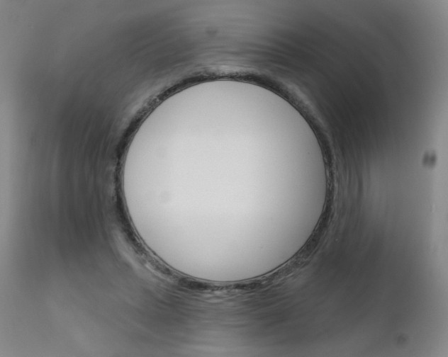 X0000111180447200907011036