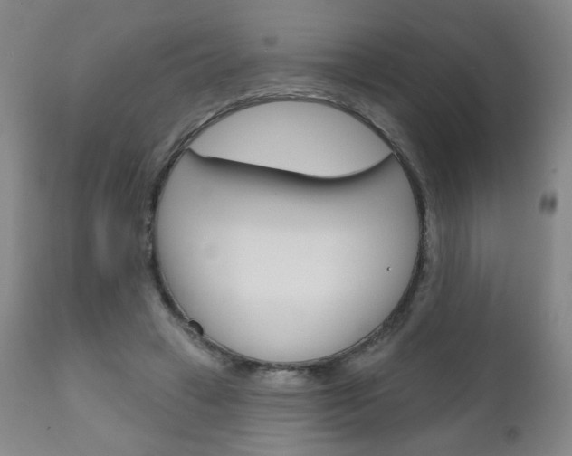 X0000111180449200907011036