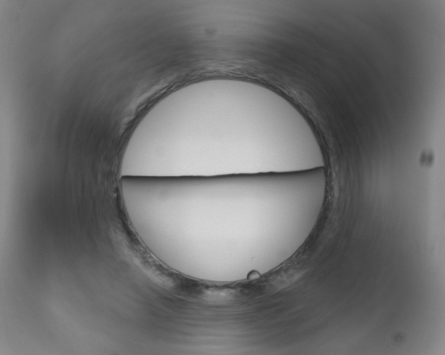 X0000111180450200907011036