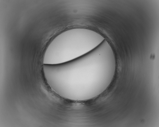 X0000111180451200907011036