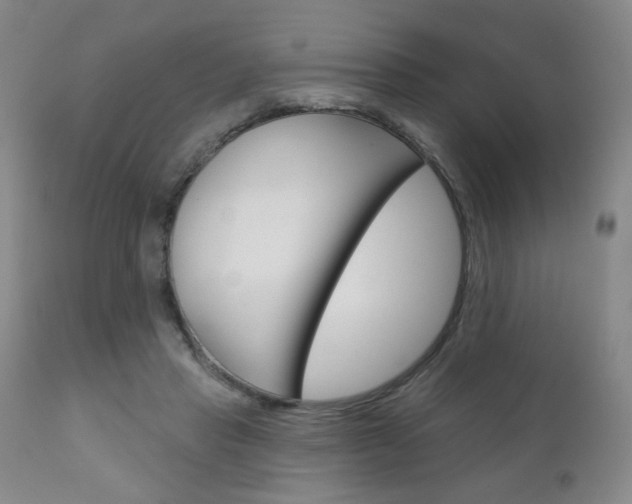 X0000111180453200907011036